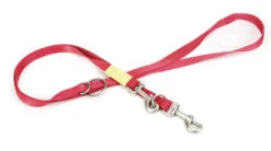 Beeztees Dressuurlijn Uni -Boon Verkoopwinkel 0746691