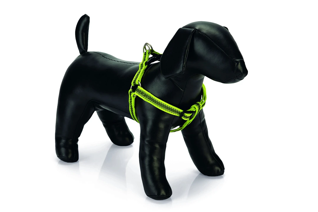 Beeztees Borsttuig Cabo Geel 3 Beeztees Borsttuig Cabo Geel