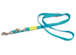 Beeztees Dressuurlijn Uni -Boon Verkoopwinkel 0747095