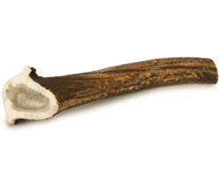 Beeztees Hertengewei Large