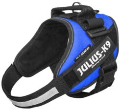 Julius K9 IDC Powerharness Blue 16 Julius K9 IDC Powerharness Blue -Boon Verkoopwinkel 16IDC B 1