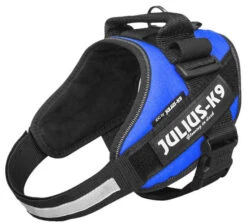 Julius K9 IDC Powerharness Blue 17 Julius K9 IDC Powerharness Blue -Boon Verkoopwinkel 16IDC B 2