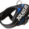 Julius K9 IDC Powerharness Blue -Boon Verkoopwinkel 16IDC B B1