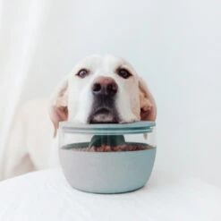 District 70 Treat Jar Ice Blue -Boon Verkoopwinkel 2J8A7537 1