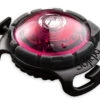 Orbiloc Safety Light Dog Dual Roze 1 Orbiloc Safety Light Dog Dual Roze -Boon Verkoopwinkel Orbiloc Dog Dual Pink exposed HR