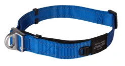 Rogz Beltz Utility Halsband Safety Blue -Boon Verkoopwinkel RHBS25BDET0