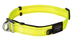 Rogz Beltz Utility Halsband Safety Yellow -Boon Verkoopwinkel RHBS25HDET0