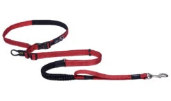 Rogz Utility Hondenlijn Handsfree Red 12 Rogz Utility Hondenlijn Handsfree Red -Boon Verkoopwinkel RHLF05C Utility Handsfree Lead XL Red DET1