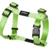 Rogz Beltz Utility Hondentuig Lime -Boon Verkoopwinkel RSJ14L DET0