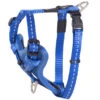 Rogz Beltz Utility Hondentuig Control Blue -Boon Verkoopwinkel RSJC14BDET0