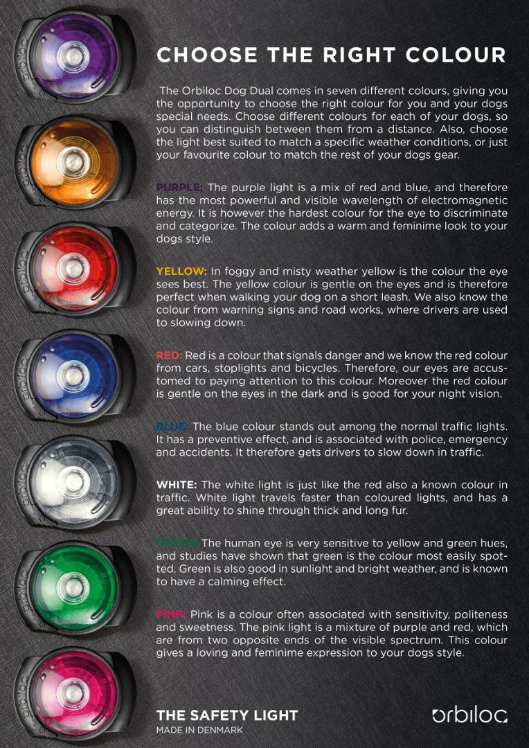 Orbiloc Safety Light Dog Dual Wit - Afbeelding 2