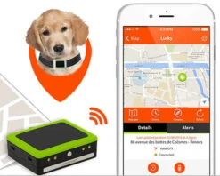 Weenect GPS Tracker Voor De Hond -Boon Verkoopwinkel weenect gps tracker app