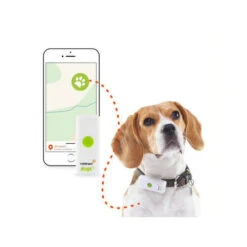 Weenect GPS Tracker Voor De Hond -Boon Verkoopwinkel weenect gps tracker hond 175159 0500 none