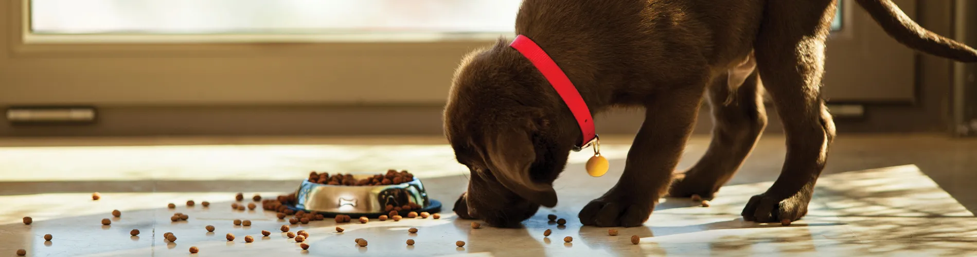 Voorkant -Boon Verkoopwinkel banner942